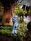 Karl Marx Deko Figur (Silber)