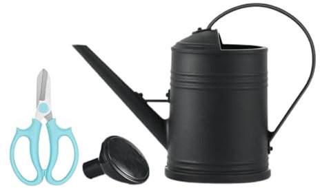 Folpus Regadera de 2L, regadera, Boquilla extraíble, Herramienta de jardinería, fácil de Usar para bonsái, Negro