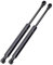 2 Pistoncini Ammortizzatori Cofano Bagagliaio Posteriore Portellone Baule Molle a Gas Specifiche per tutte le Panda modello 169 prodotte dal 09/2003 al 01/2012 - MG169/5