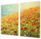 Asse da cucina in VETRO temperato – Tagliere in vetro – pezzo UNICO (60x52 cm) o DUE pezzi (30x52 cm ognuno); D06 Serie Fiori: Papaveri 4