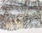 LED Bild Winter Moments - Leinwand auf Keilrahmen mit 40 LED Funkeleffekt 40x30 cm Wölfe im Wald