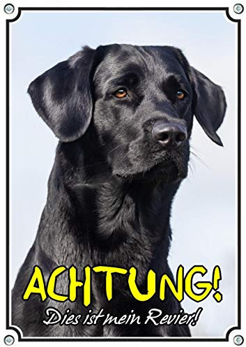Hundeschild mit schwarzem Labrador Retriever - Warnschild aus Alu - rostfrei, DIN A5