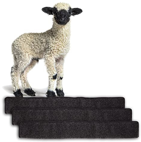 BigDean 3X Zugluftstopper für Türen 100cm - 100% Schurwolle - Anthrazit - Türluftstopper Luftzugstopper Windstopper - Made in Germany