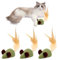 Smavles Boules d'herbe à Chat, 3 Pièces Boule Herbe a Chat, Jouet Chat Comestibles pour Chat Nettoie Efficacement Les Dents Augmentent L'AppéTit