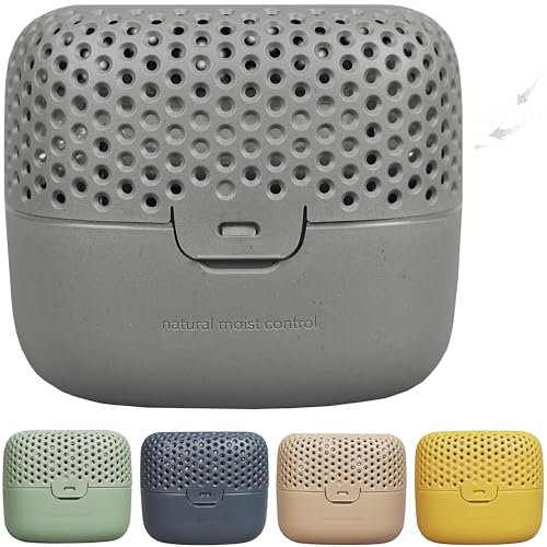 AbsoDry Duo Family - Luftentfeuchter Wohnung ohne Strom - für beste Luftqualität - Raumentfeuchter für Keller, Badezimmer, Schlafzimmer - gegen Schimmel - Entfeuchter Wohnung - Dehumidifier - Grau
