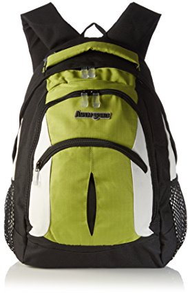 AspenSport Rucksack Pikes Peek, schwarz/Grün, 46 x 31 x 25 cm