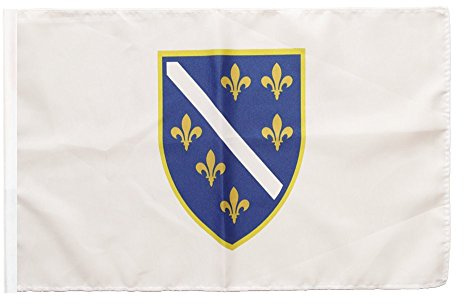 Flaggenfritze Fahne mit Hohlsaum Bosnien alt 1992-1998 30 x 45 cm - flexibel dekorieren, ergänzen und Flagge zeigen