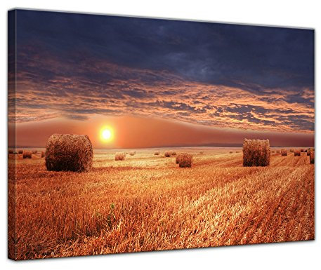 Bilderdepot24 Cuadros en Lienzo Campo de maíz - Paja 40 x 30 cm - Listo tensa, Directamente Desde el Fabricante