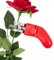 Rosenentdorner Profi Entdorner mit Kunststoffgriff Stielentdorner Rose Entdorner Blumenentdorner hochwertig Blume Blumen Nelken Garten Stripper Stripping Zubehör back2season