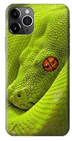 Green Snake Hülle Schutzhülle Taschen für iPhone 11 Pro