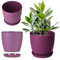 KADAX Pot de Fleurs 18 cm en Plastique avec Soucoupe et Finition Mate Élégante, Cache-Pot pour Une Décoration Intérieure Raffinée et Moderne (Violet)