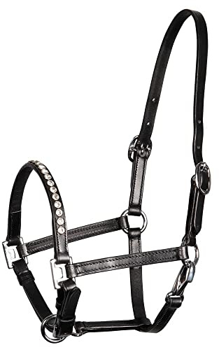 Amesbichler Reitsport Fohlenhalfter Ponyhalfter Showhalfter aus Leder mit Strass mehrfach verstellbar