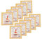 Lot 10x Panna cotta - sachet 40g