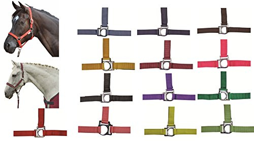 HKM 558491 Halfter Stars, weich unterlegt, Warmblut, rot