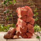10 x Softwood Firewood Logs - Kiln Dried Jumbo 60 litre Nets, 23cm long. Soft Wood for Wood Burners, Stoves, Log Burners - 50% More Logs than Hardwood for Same Price