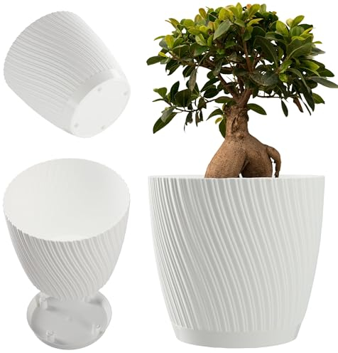 KADAX Maceta con plato, maceta de plástico con forma de onda tridimensional, maceta decorativa para flores, cactus y hierbas (15 cm, blanco)