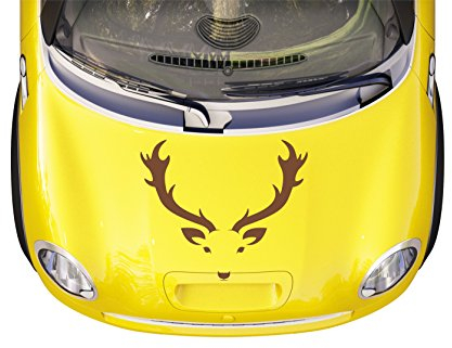 wodtke-werbetechnik Motorhauben Tattoo Aufkleber Hirsch