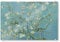 artboxONE Acrylglasbild 30x20 cm Natur Mandelblüte von Vincent Van Gogh - Bild Vincent Van Gogh Blumen blüte