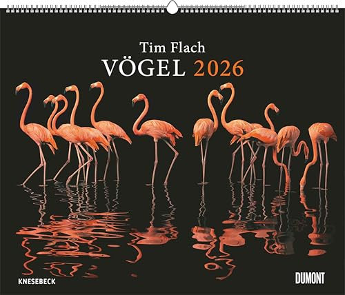 DUMONT - Tim Flach: Vögel 2026 – Posterkalender 60 x 50 cm – Faszinierende Vogel-Porträts für Tierfreunde & Fotografie-Liebhaber