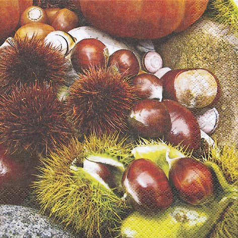 20 Servietten Maroni - Kastanien/Herbst/Fr?chte 33x33cm