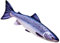 GABY Fish Pillows Dekoratives Kissen in Form des echten Fisches, Atlantischer Lachs