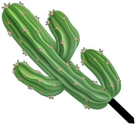 CIYODO Cactus Gartenstecker Wetterfeste Garten Deko Lebensecht Kompakt Für Garten Und Langlebiges Material Kreative Pflanzenornamente Für Außenbereich