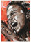 JosHoppenbrouwers Eddie Vedder, Pearl Jam Poster 29,7 x 42 cm (A3)