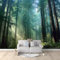 3D Fototapete Wandbild Kinderzimmer Natürliches Licht Redwood-Wald Wald Grün Grün Wohnzimmer Tv Sofa Thema Hotel Luxus Wandmalerei Wohnkultur Wandbilder Dekor Wandbild 300x210 cm