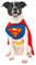 Rubie's 887892M Offizielles Superman Hundekostüm, Blau/Rot, Größe M Halloween