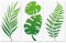 Tropische Blattschablonen, Farnblatt Monstera Palmblätter Wandschablone 3 Stück für Möbel Leinwand Wohnkultur Handwerk Botanische Blätter Wiederverwendbare Mylar-Schablonen 15x30cm