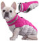 Kuoser Hundejacke Hundemantel für Kleine Hunde Winterweste, Wasserdicht Hunde Wintermantel Jacke Winter Hunde Mantel Mit Geschirr Warme Winterjacke Hundepullover Haustier Skifahren Kostüm Rosa, S