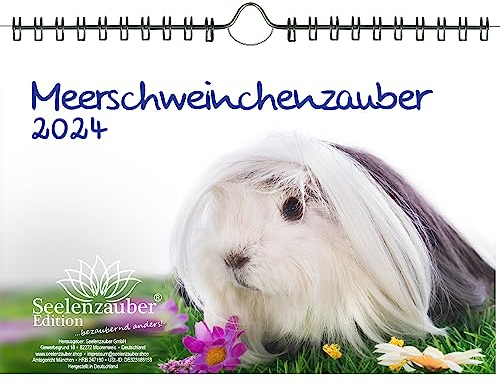 Meerschweinchenzauber DIN A5 Wandkalender für 2024 Meerschweinchen - Seelenzauber