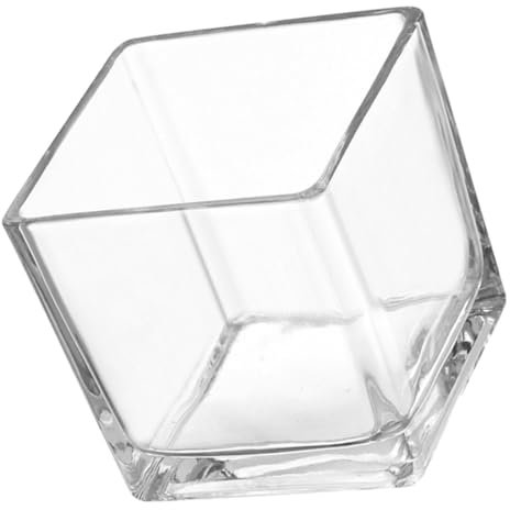 KONTONTY Rechteckige Vase Hydrokultur-pflanzgefäß Blumenvasen Dekorativ Pothos-pflanztopf Quadratische Vase Pflanzgefäße Für Den Garten Mundgeblasene Vase Würfel Blumenvase Transparent Glas