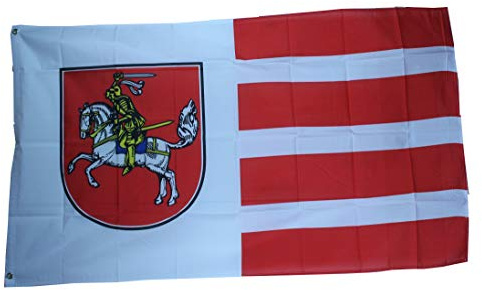 Yantec Outdoor - Hissflagge Dithmarschen 90 * 150 cm Flagge