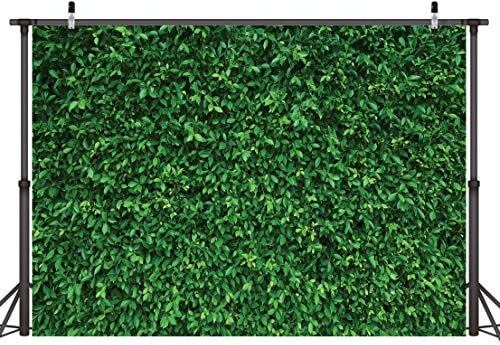 LYWYGG 7x5FT Green Leaves Photography Backdrop Jungle Backdrop Clear Color Foldable Easy To Carry for Birthday Party Outdoor Activity Studio Props CP-87