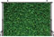 LYWYGG 7x5FT Green Leaves Photography Backdrop Jungle Backdrop Clear Color Foldable Easy To Carry for Birthday Party Outdoor Activity Studio Props CP-87