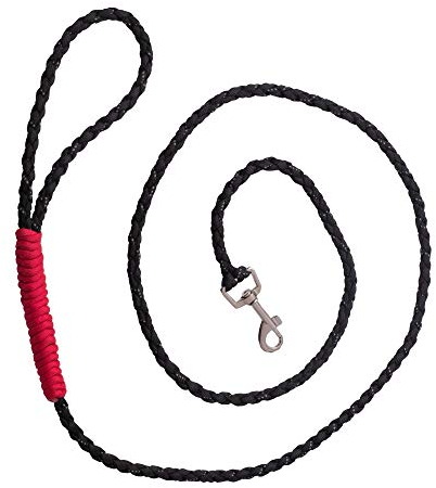 Golden Pets Paracord Hundeleine I Handschlaufe I 1,7m I reflektierend, extrem leicht & robust I geflochtene hochwertige Führleine I kleine - große Hunde I + Gratis E-Book