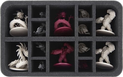 Feldherr HS065DC16 Schaumstoffeinlage kompatibel mit Descent: Reise ins Dunkel 2. Edition - Hüter des Geheimnisses