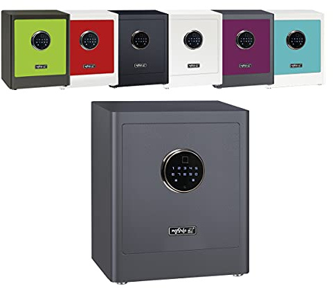 mySafe Premium 350 | elektronischer Schrank-Tresor | Zahlencode & Fingerscan | modernes Design | hohe Sicherheit | Grau