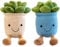 Succulents Age 3+ Plush Toy,2 pcs Flower Pot Stuffed Plushie Pillow Decoration, Soft Succulent Plant Plush Toy,Plants Throw Pillow Kawaii Plushie for Kids