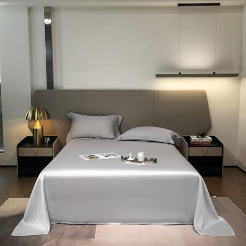 Lenzuolo Piatto Matrimoniale, 200x230cm Grigio Argento Lenzuola in Fibre di Lyocell Tessuto Morbido Durevole e Lavabile in Lavatrice | con 2 federe