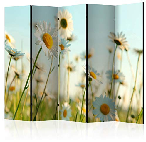 decomonkey Paravent Raumteiler Innen Blumen 225x172 cm 5 Teilig Einseitig Room Divider Wall Raumteiler Stehend Trennwand Sichtschutz Spanische Wand Sichtschutzwand Wohnzimmer Holz Gänseblümchen