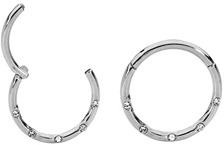 365 Sleepers (8mm) Titan 1,2 mm Segment Nasenring Kristall Hoop Knorpelohrring Septum Clicker Klappbarer Lippen Conch Daith Helix Rook Tragus Lobe Snug Piercing Schmuck
