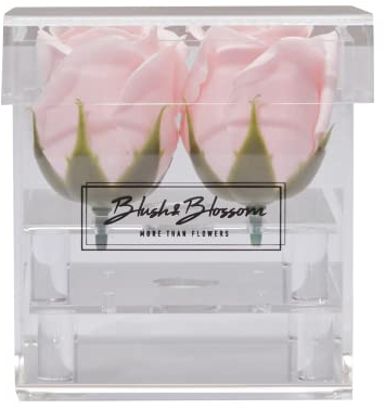 Blush & Blossom Rosenblüten, 4 Stück in transparenter Box, Blush