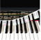 88-Key Removable Piano Keyboard Note Labels Without Sticking, 2 in 1 Piano Key Labels with Pitch Name & Staff, Durable Piano Note Labels for Beginner (colourful)
