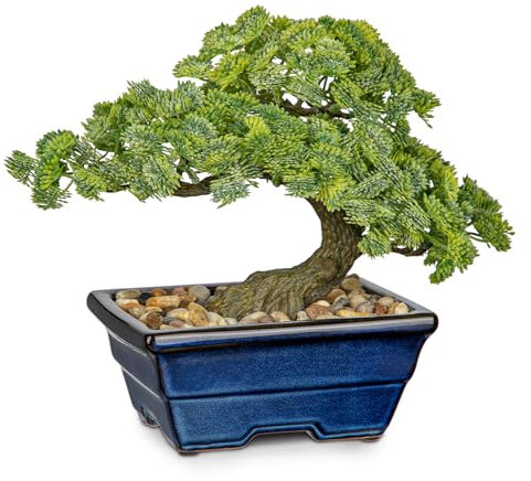 Oairse 22 cm Kunstpflanze Bonsai Baum im Blau Keramiktopf Künstliche Pflanzen Aesthetic Japanische Bonsai Deko für Wohnzimmer Schlafzimmer Badzimmer Fensterbank Dekoration - Podocarpus Kunstbonsai