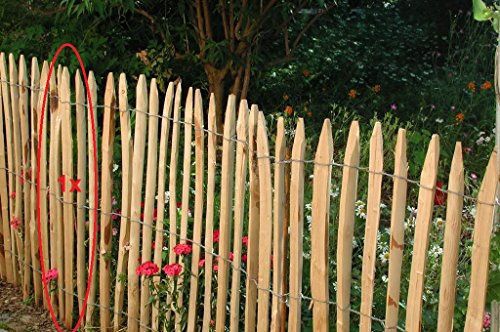 Gartenwelt Riegelsberger 10 Stück, Stakete französische Kastanie gespalten, 80 cm