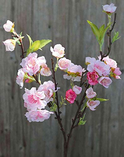artplants.de Künstlicher Blütenzweig Kirsche SOEY mit Blüten, weiß-rosa, 45cm - Kirschblütenzweig Deko/Kunstblumen Zweig