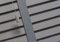 Optimal Products Faux Wood Window Venetian Blinds Blind With Tape 50mm Slats White Grey TRIMMABLE Fittings Included Luxury Look (Grey, 90 x 150 cm)