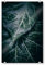 artboxONE Acrylglasbild 45x30 cm Natur Wet Ivy Bild hinter Acrylglas - Bild efeu Closeup dunkel